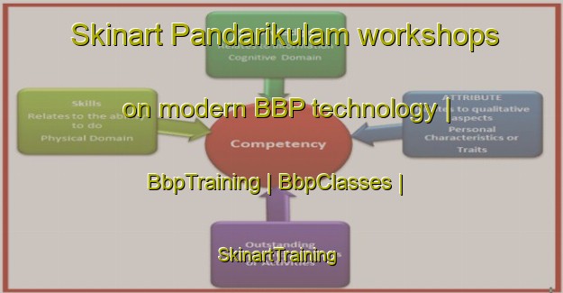 Skinart Pandarikulam workshops on modern BBP technology | BbpTraining | BbpClasses | SkinartTraining-Sri Lanka